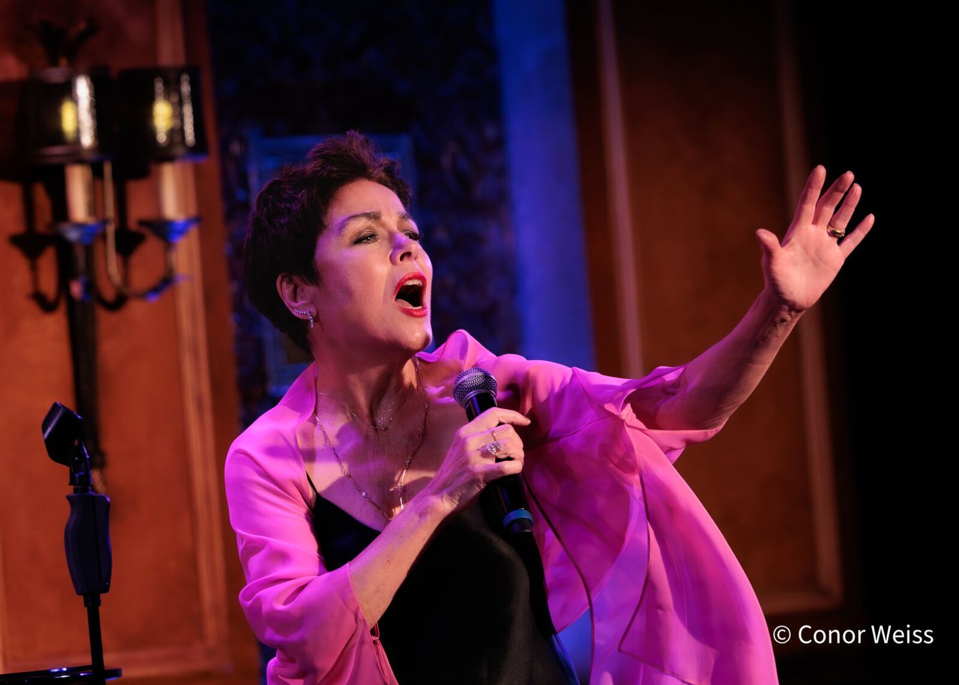 Photos: See Highlights of Christine Andreas's S'WONDERFUL at 54 Below Image