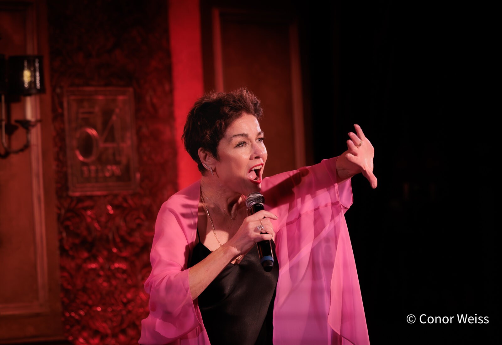 Photos: See Highlights of Christine Andreas's S'WONDERFUL at 54 Below — photo 5 of 19