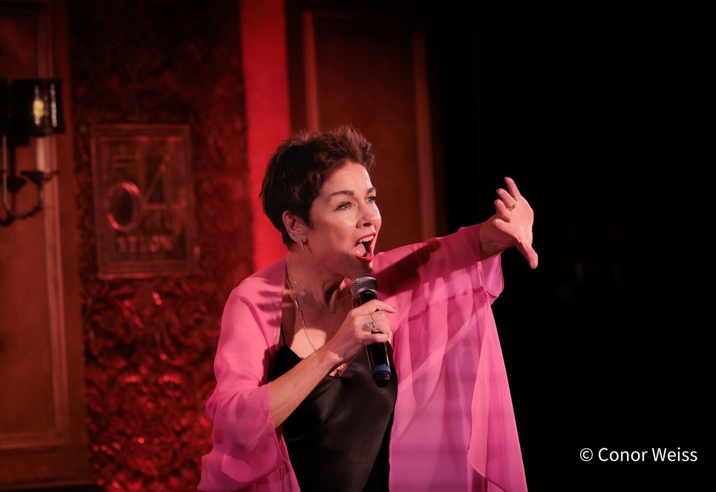 Photos: See Highlights of Christine Andreas's S'WONDERFUL at 54 Below Image