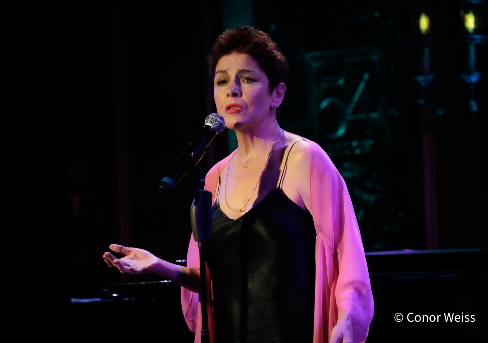 Photos: See Highlights of Christine Andreas's S'WONDERFUL at 54 Below — photo 11 of 19