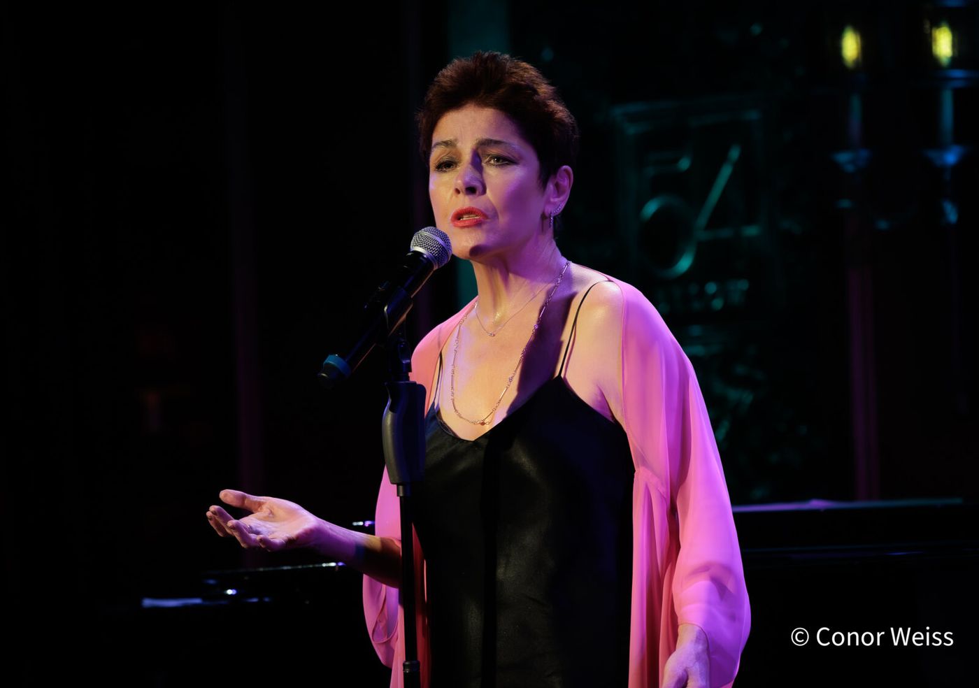 Photos: See Highlights of Christine Andreas's S'WONDERFUL at 54 Below Image