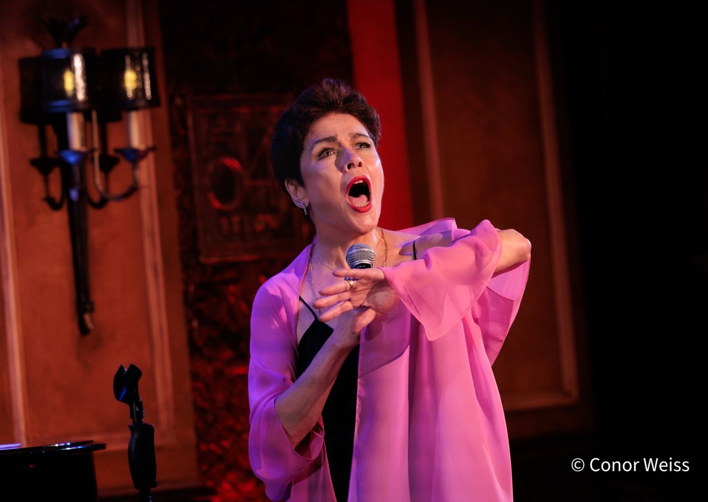 Photos: See Highlights of Christine Andreas's S'WONDERFUL at 54 Below Image