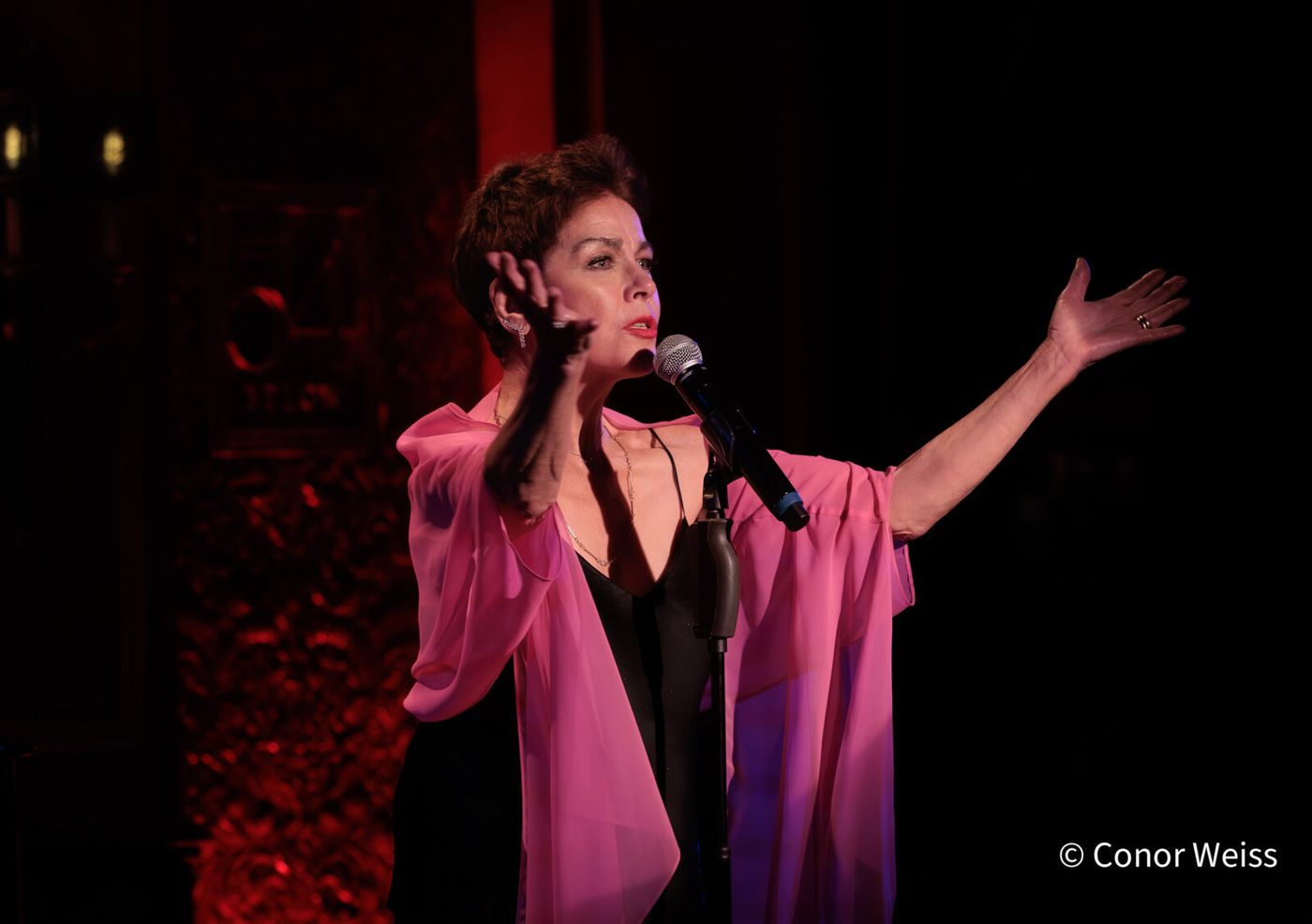 Photos: See Highlights of Christine Andreas's S'WONDERFUL at 54 Below Image