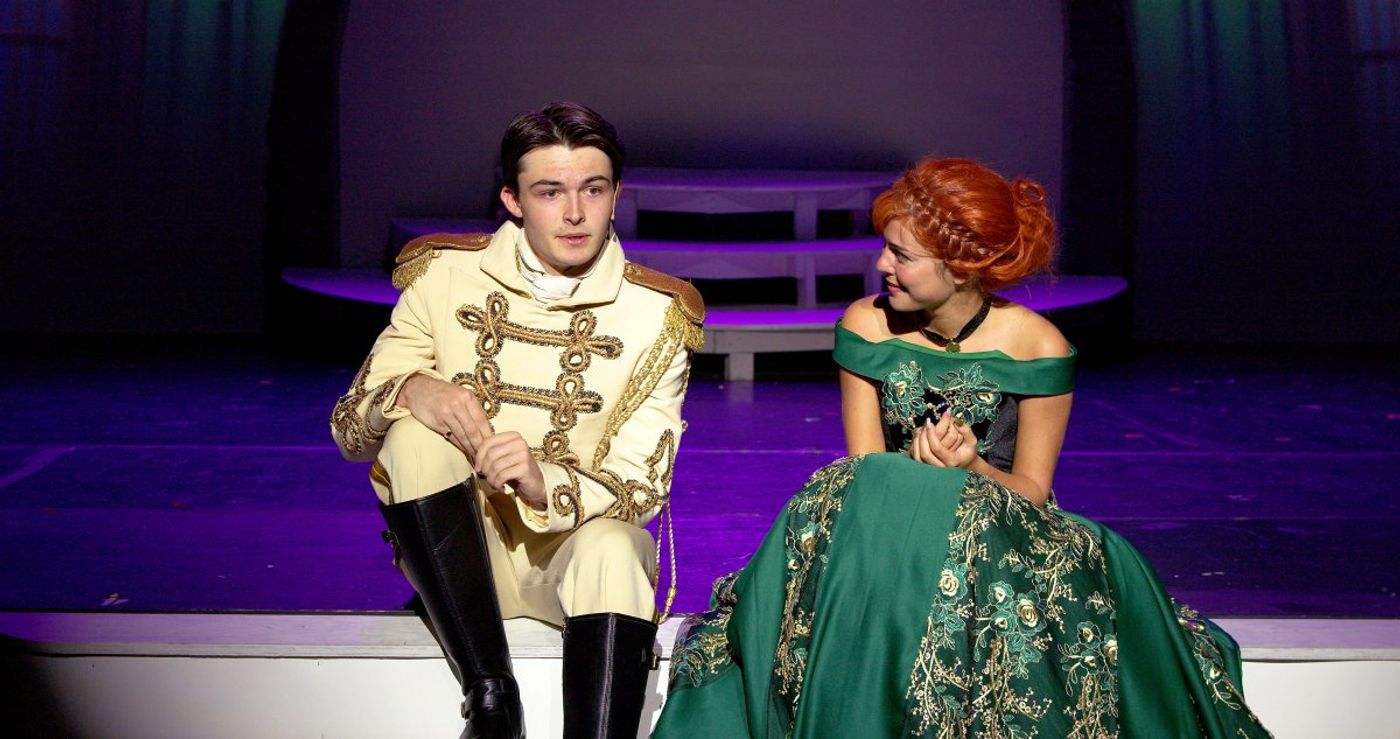 Review: FROZEN: THE BROADWAY MUSICAL at Arts Bonita Image
