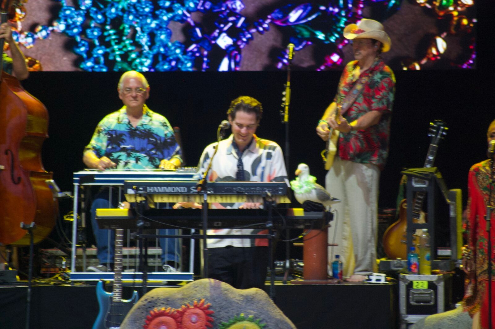 Photos: The Coral Reefer Band – Keep The Party Going Tour Image