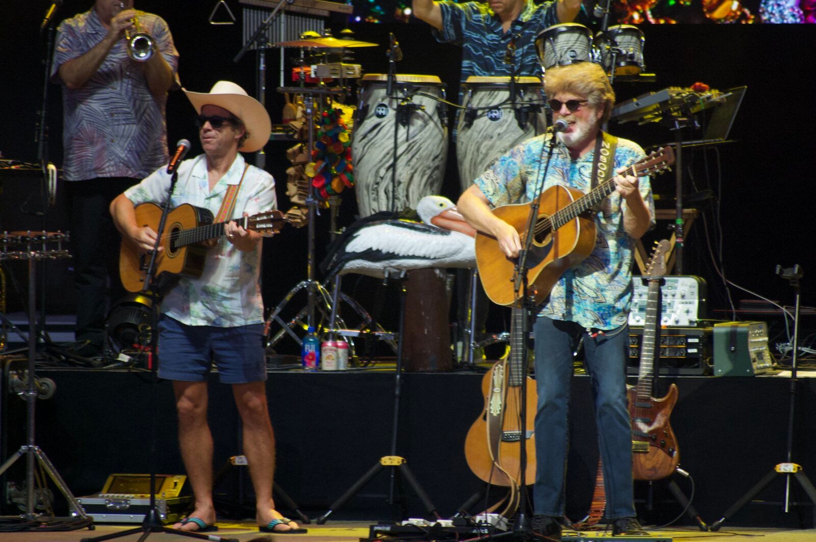 Photos: The Coral Reefer Band – Keep The Party Going Tour Image
