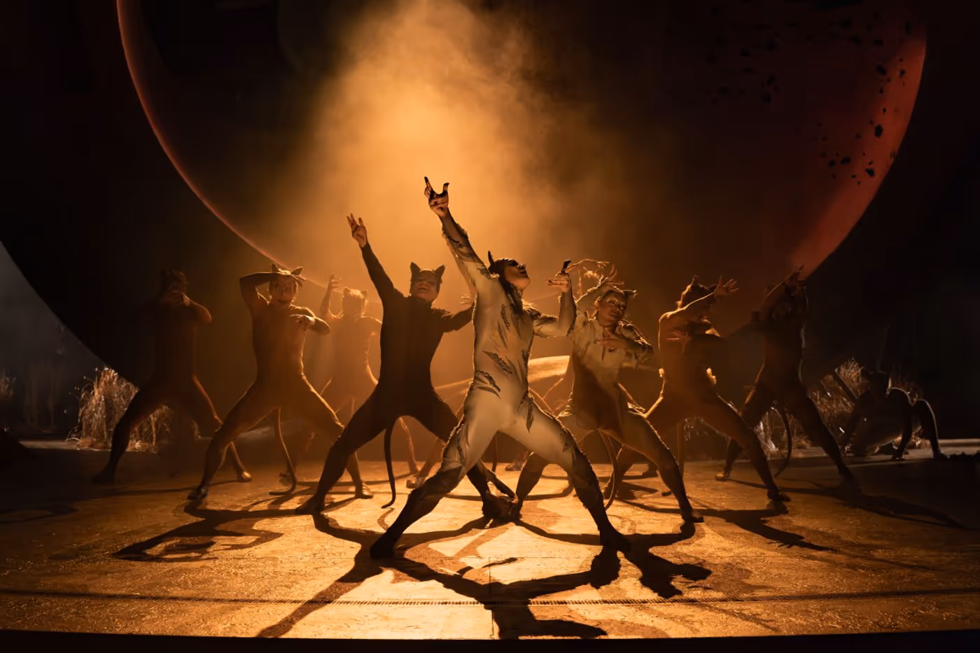 Review: CATS, Regent's Park Open Air Theatre Image