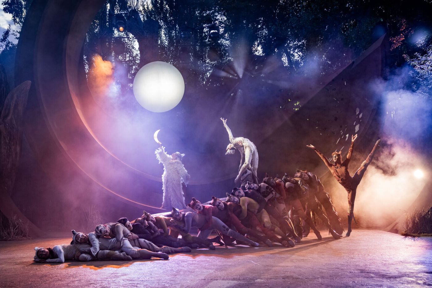 Photos: Rachael Wooding, Melanie La Barrie, and More in CATS at Regent's Park Open Air Theatre Image