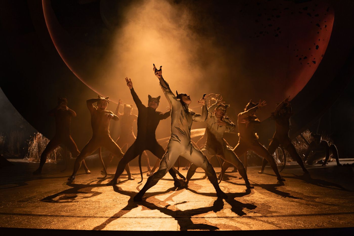 Photos: Rachael Wooding, Melanie La Barrie, and More in CATS at Regent's Park Open Air Theatre Image
