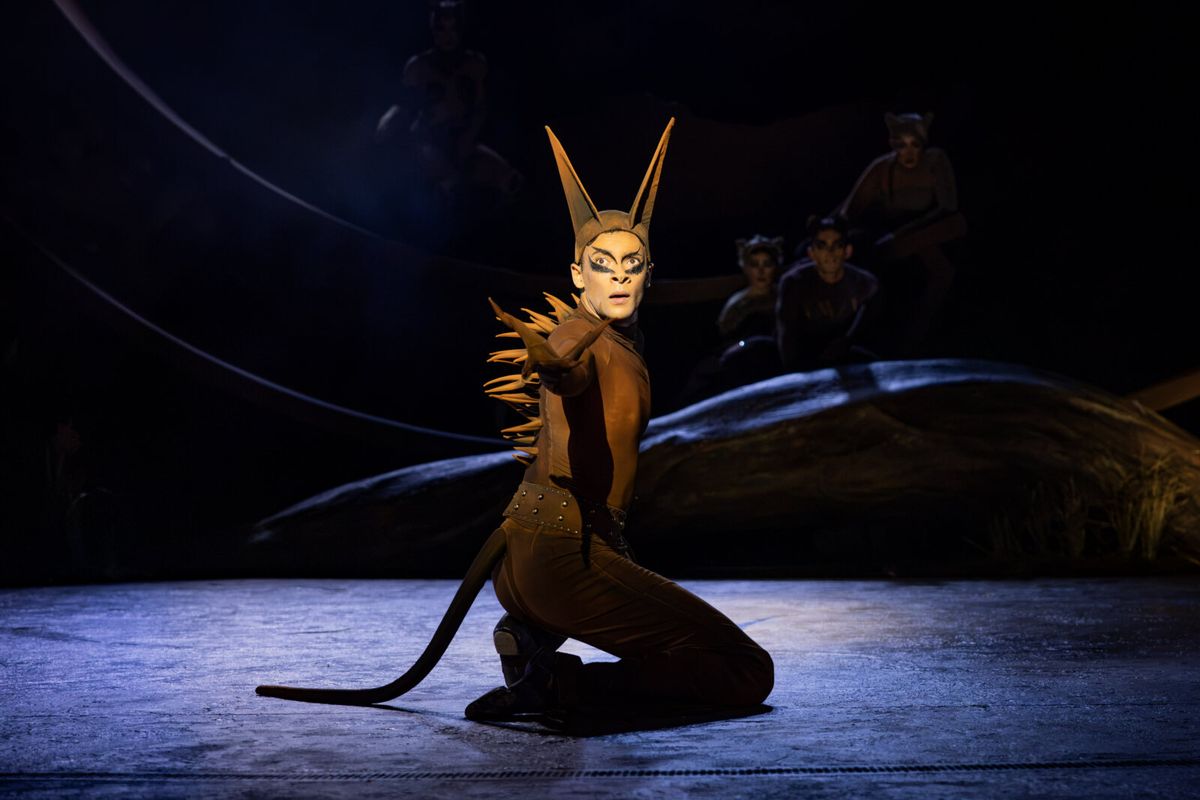 Dianté Lodge (Macavity) at Photos: Rachael Wooding, Melanie La Barrie, and More in CATS at Regent's Park Open Air Theatre