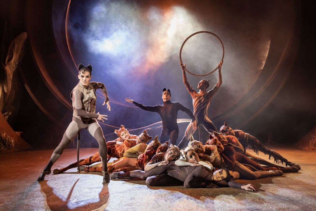Jack Wilcox (Munkustrap), Jay Yau (Quaxo), Dianté Lodge (Admetus) and cast at Photos: Rachael Wooding, Melanie La Barrie, and More in CATS at Regent's Park Open Air Theatre