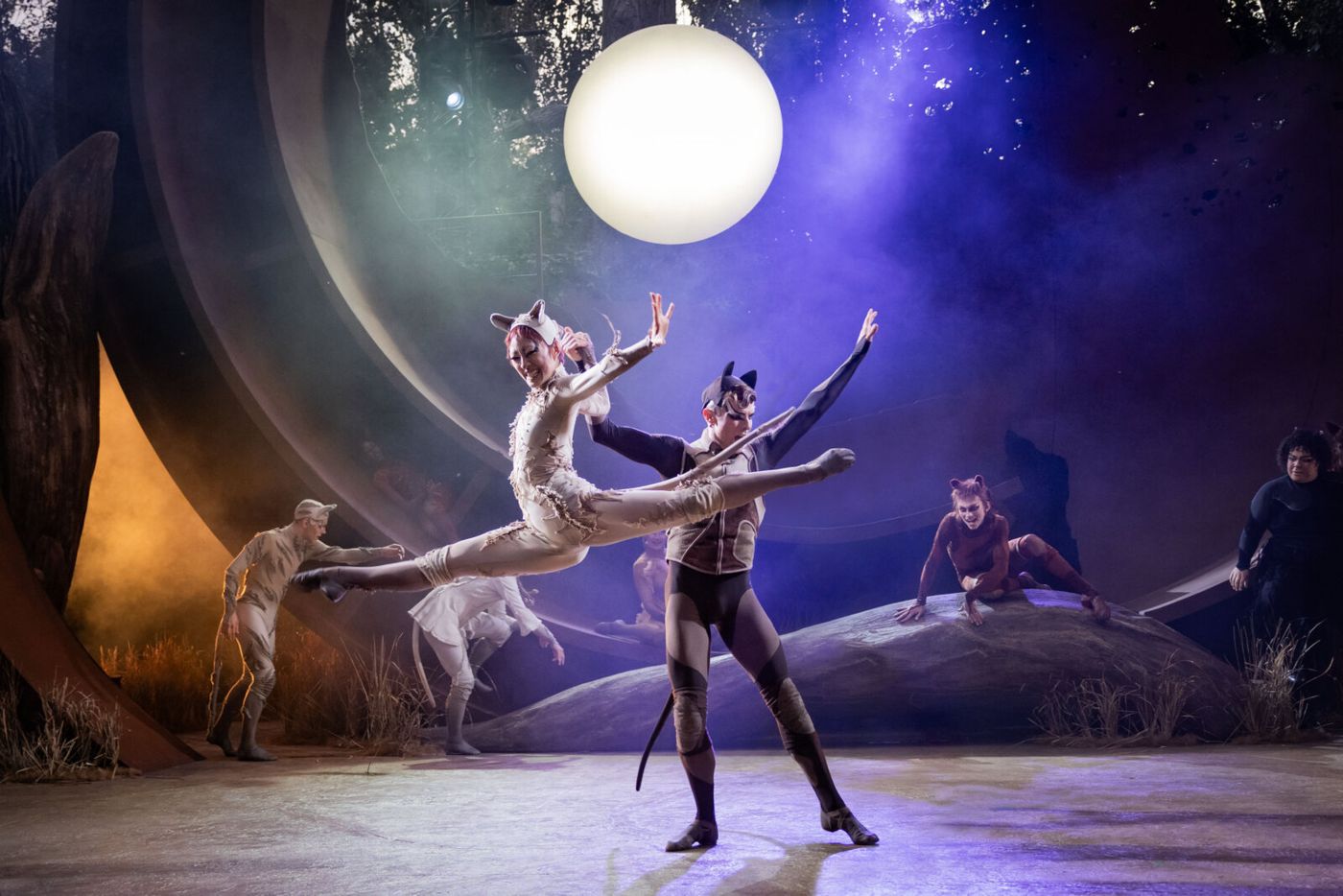 Photos: Rachael Wooding, Melanie La Barrie, and More in CATS at Regent's Park Open Air Theatre Image