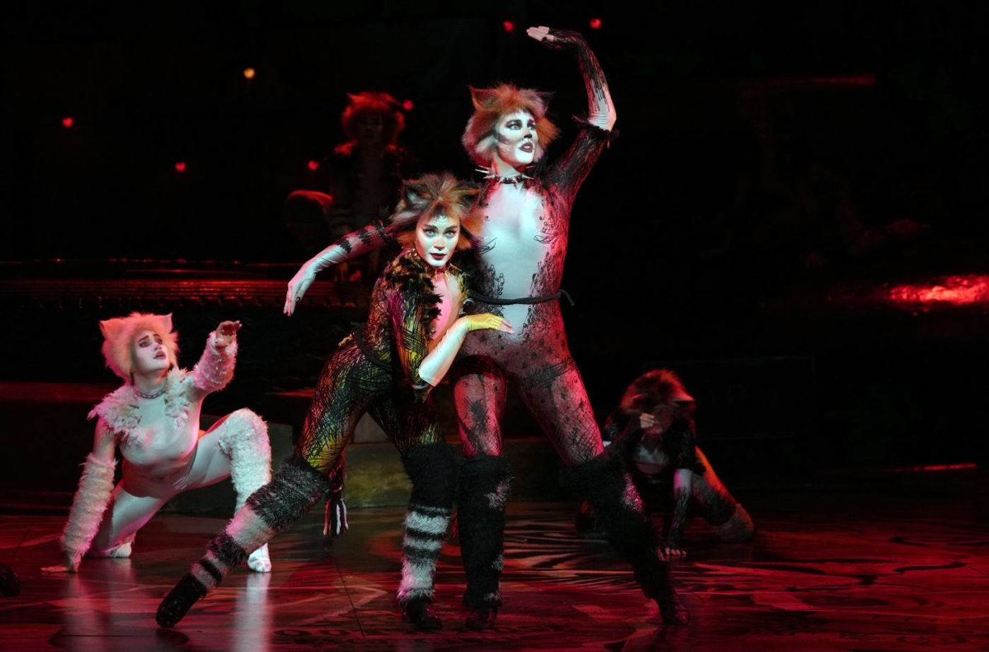 Review: CATS THE MUSICAL at the Grand Theatre, Xiqu Centre Image