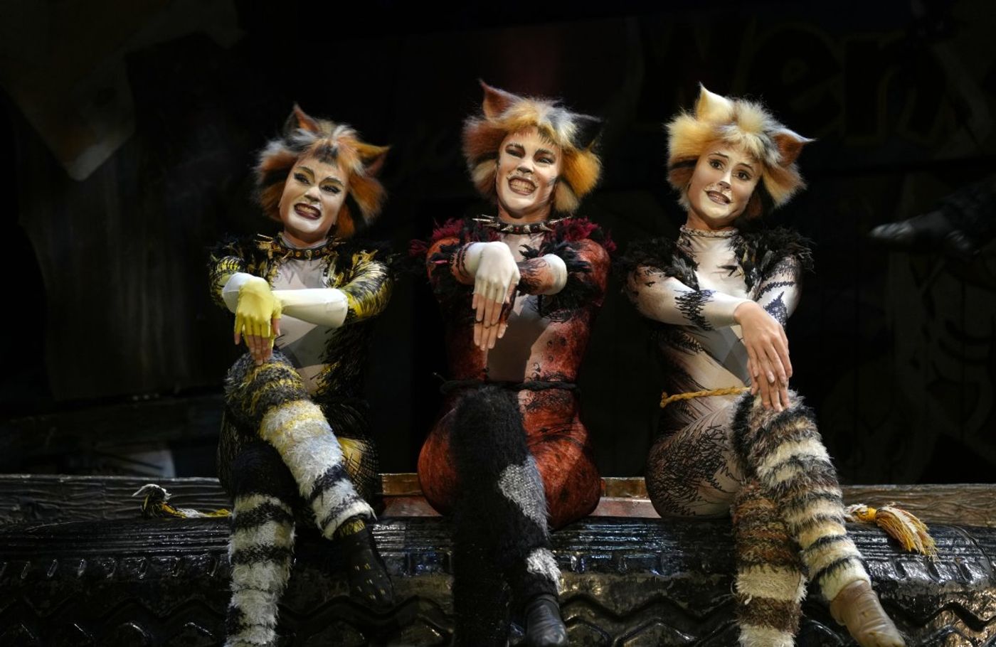 Review: CATS THE MUSICAL at the Grand Theatre, Xiqu Centre Image
