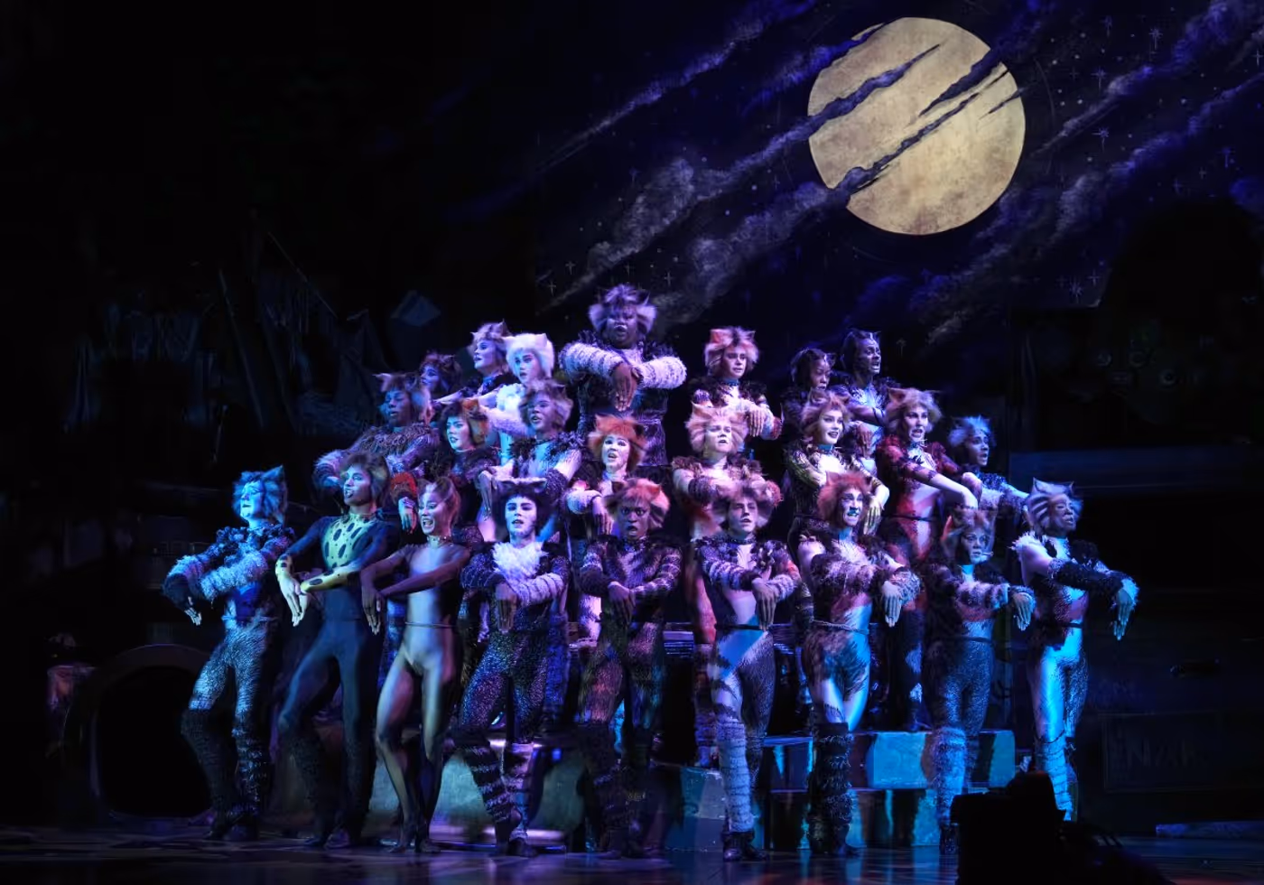 Review: CATS THE MUSICAL at the Grand Theatre, Xiqu Centre Image