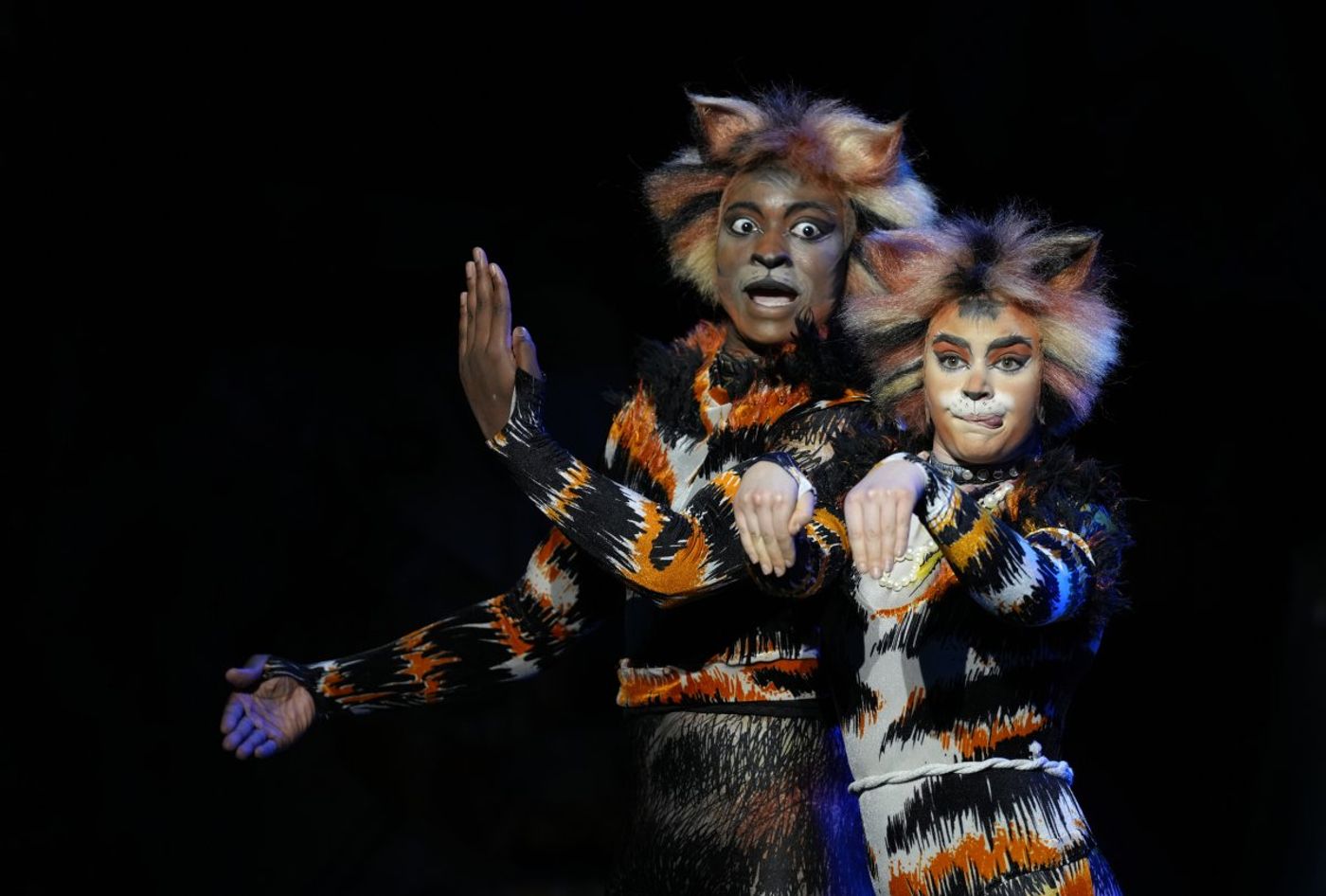 Review: CATS THE MUSICAL at the Grand Theatre, Xiqu Centre Image