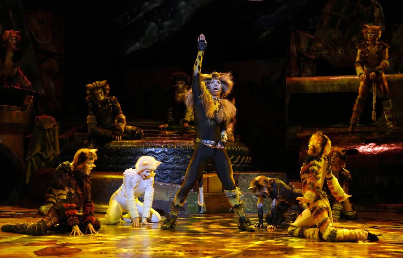 Review: CATS THE MUSICAL at the Grand Theatre, Xiqu Centre Image