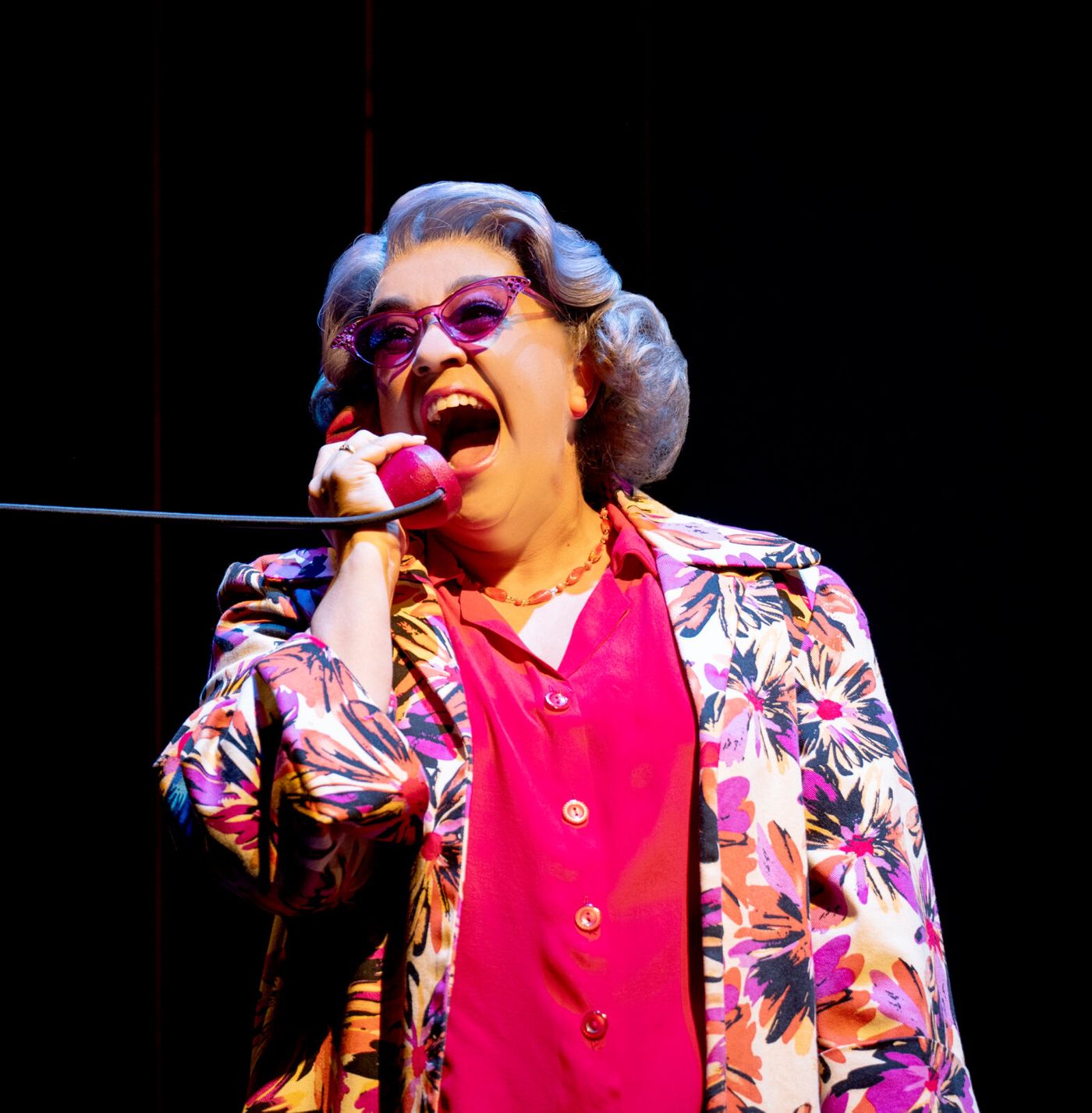 Photos: THE COMEDY ABOUT SPIES is Now Playing at the Adelphi Theatre Image