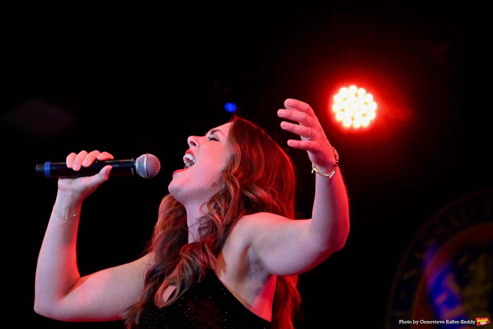 Photos: NEIL BERG'S 100 YEARS OF BROADWAY Took The Stage At Harry Chapin Theatre Image