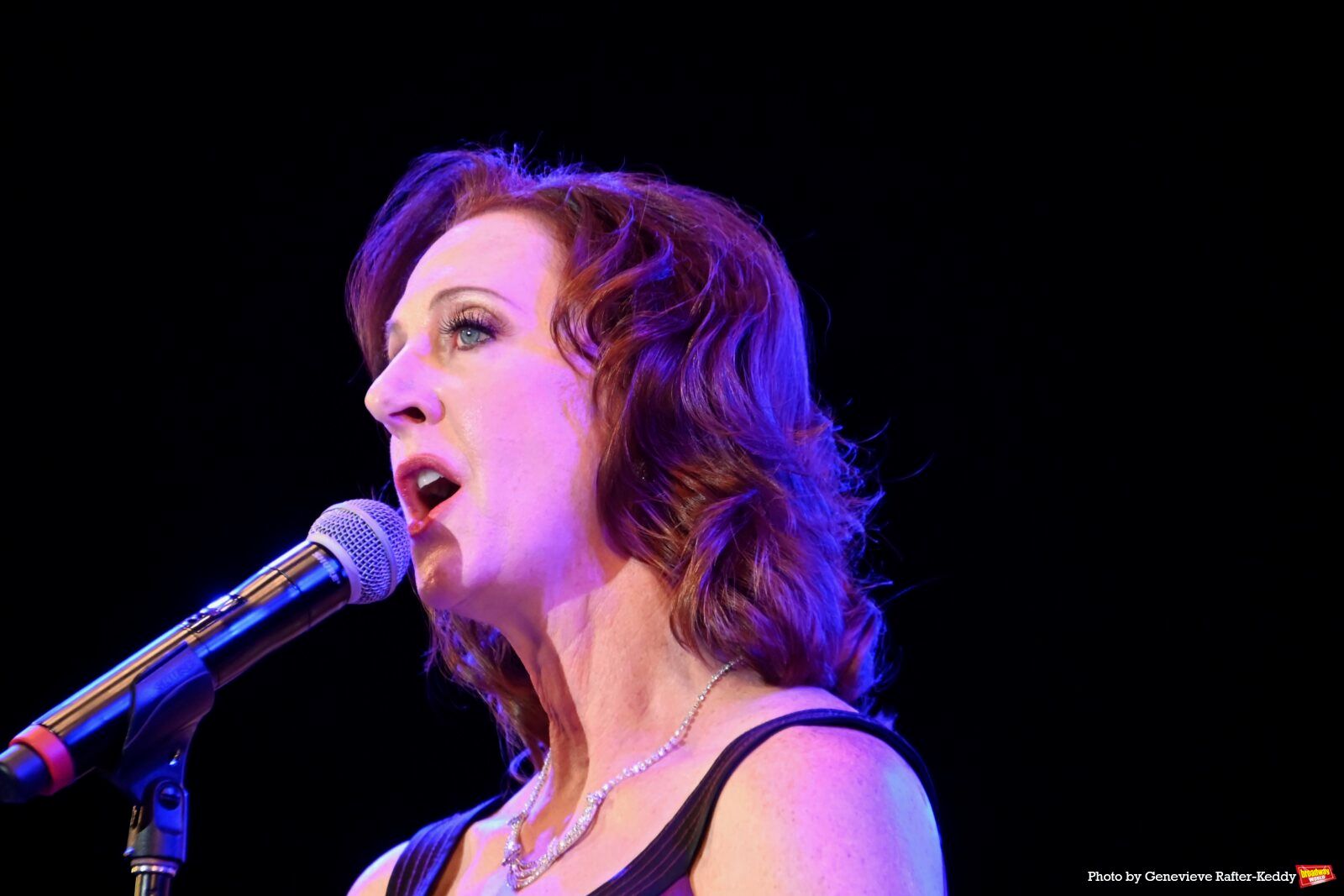 Photos: NEIL BERG'S 100 YEARS OF BROADWAY Took The Stage At Harry Chapin Theatre Image