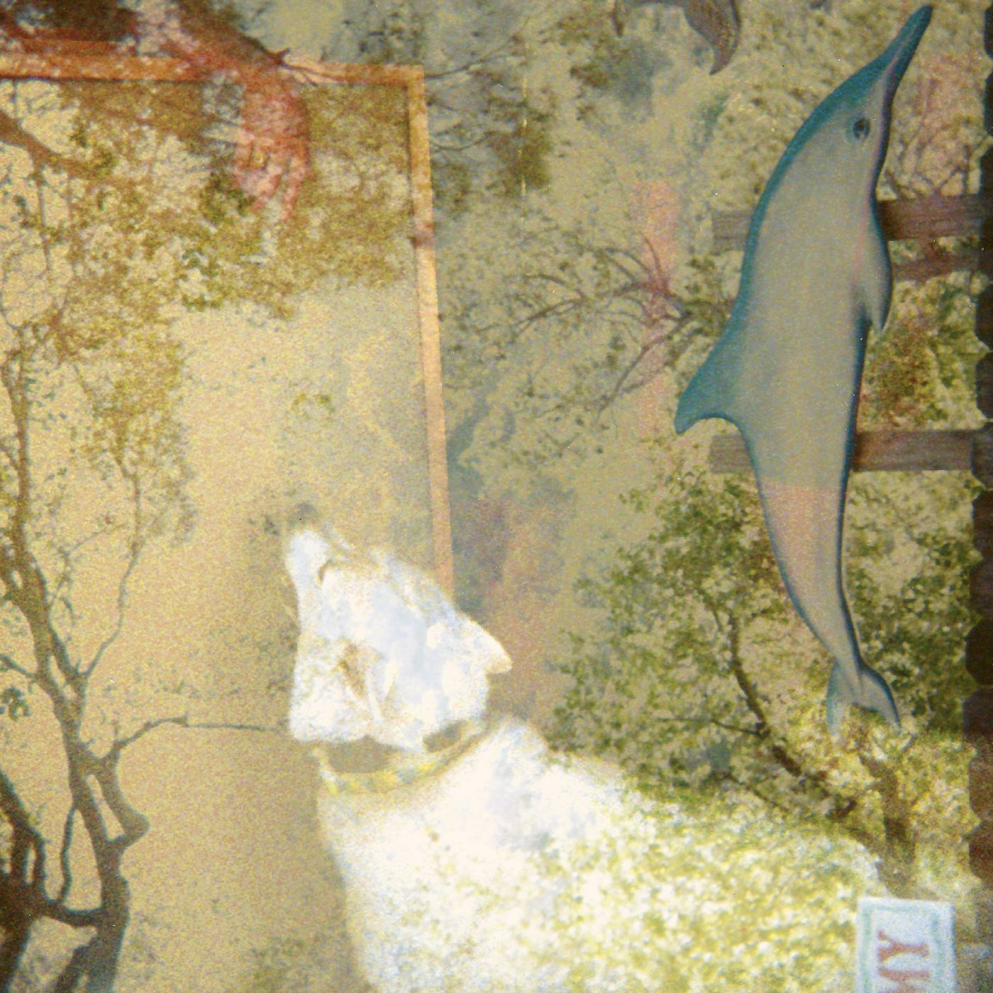 Photos: Foot Ox Announces New Album TOPANGA CANYON via Lauren Records Image