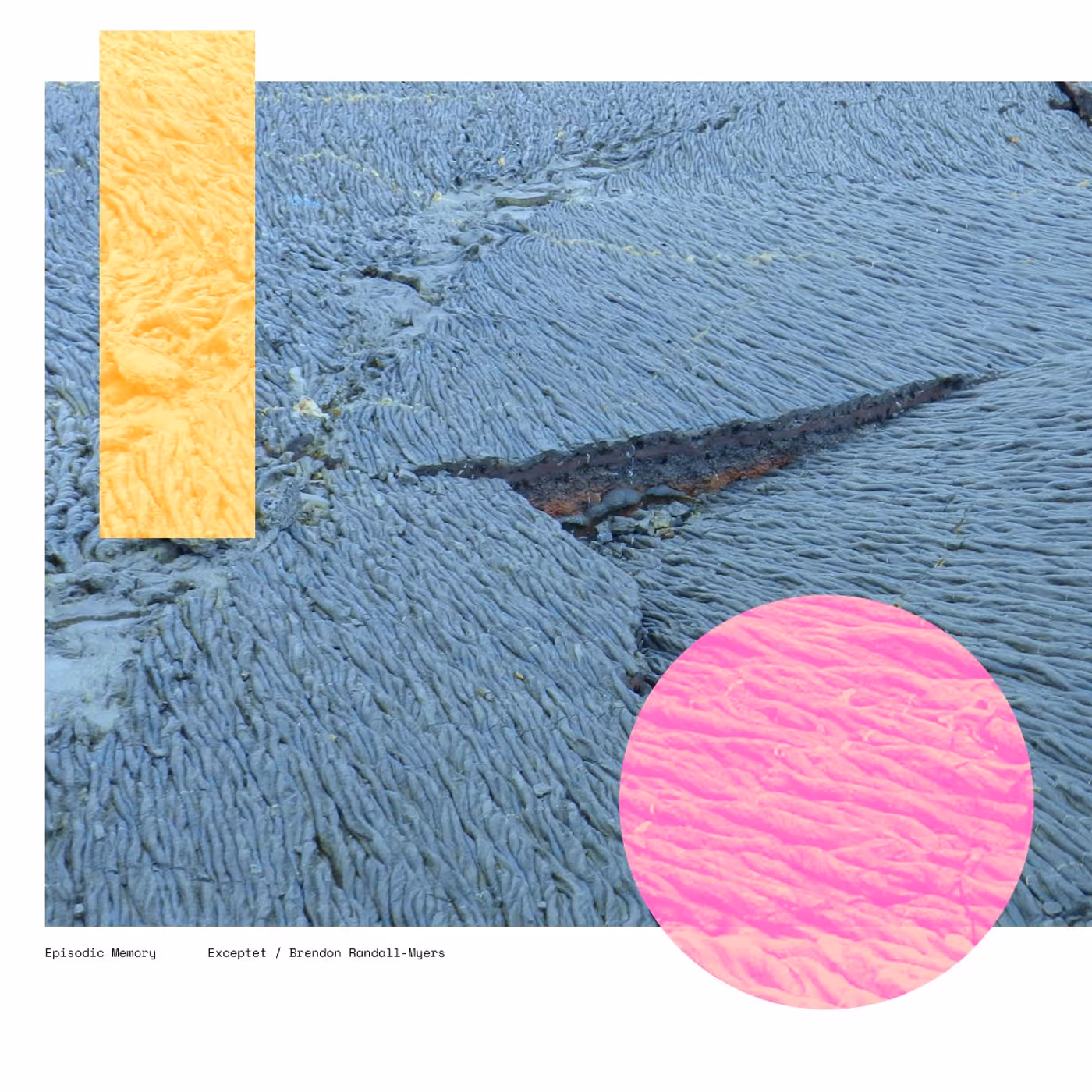 Photos: EPISODIC MEMORY Album by Exceptet and Brendon Randall-Myers to Release Image