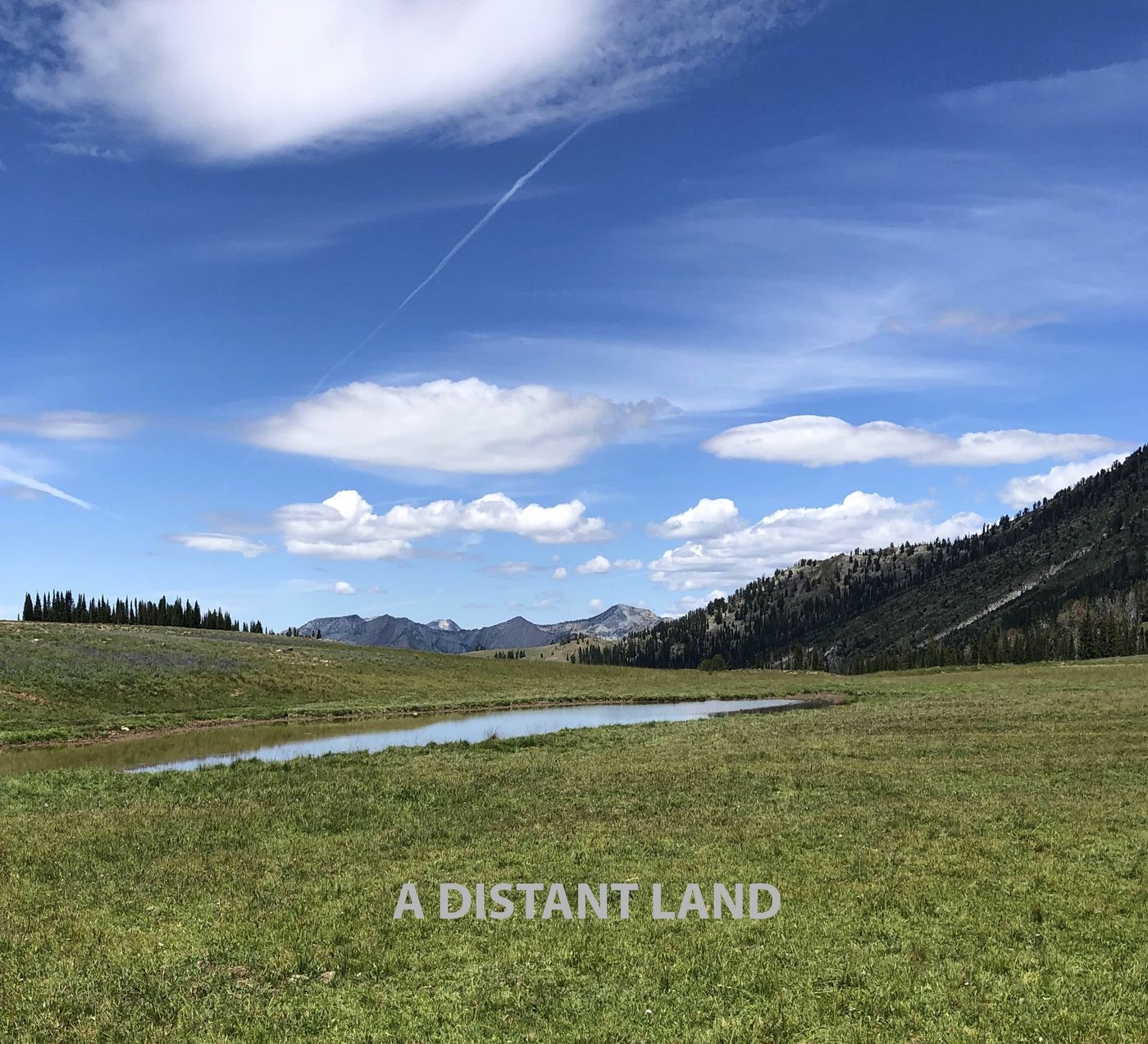 Photos: Rich Halley to Release A DISTANT LAND via Pine Eagle Records Image