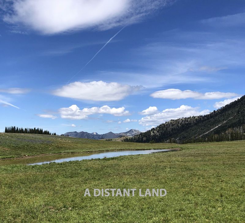 Photos: Rich Halley to Release A DISTANT LAND via Pine Eagle Records — photo 1 of 1