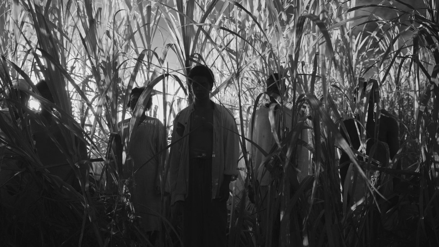 Photos: BLACK ZOMBIE Documentary to Open in Theaters, Director Set for Press Days Image