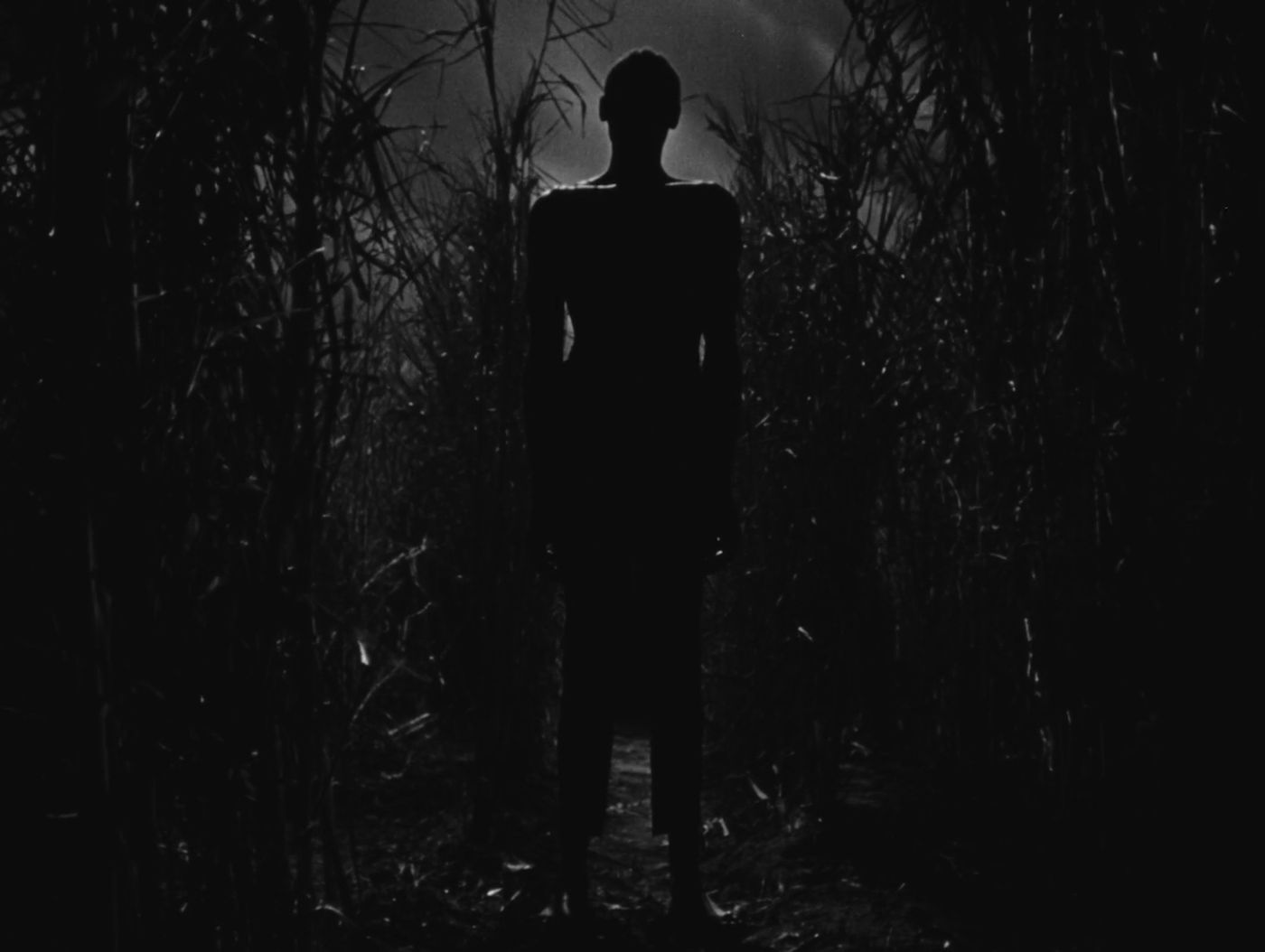 Photos: BLACK ZOMBIE Documentary to Open in Theaters, Director Set for Press Days Image