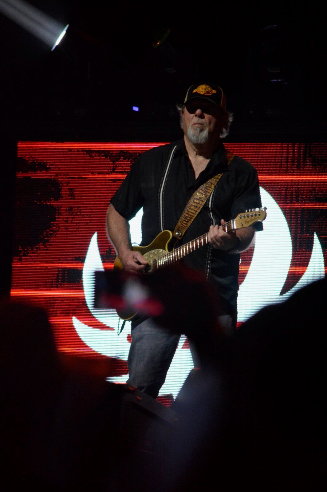 Photo Review: Hank Williams, Jr. Image