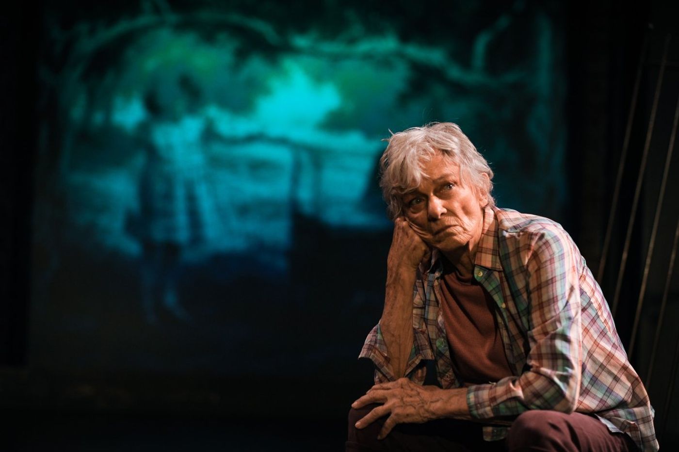 Interview: Director Debbie Devine of WINTER'S BENCH world premiere at 24th Street Theatre Image