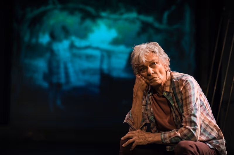 Interview: Director Debbie Devine of WINTER'S BENCH world premiere at 24th Street Theatre Image