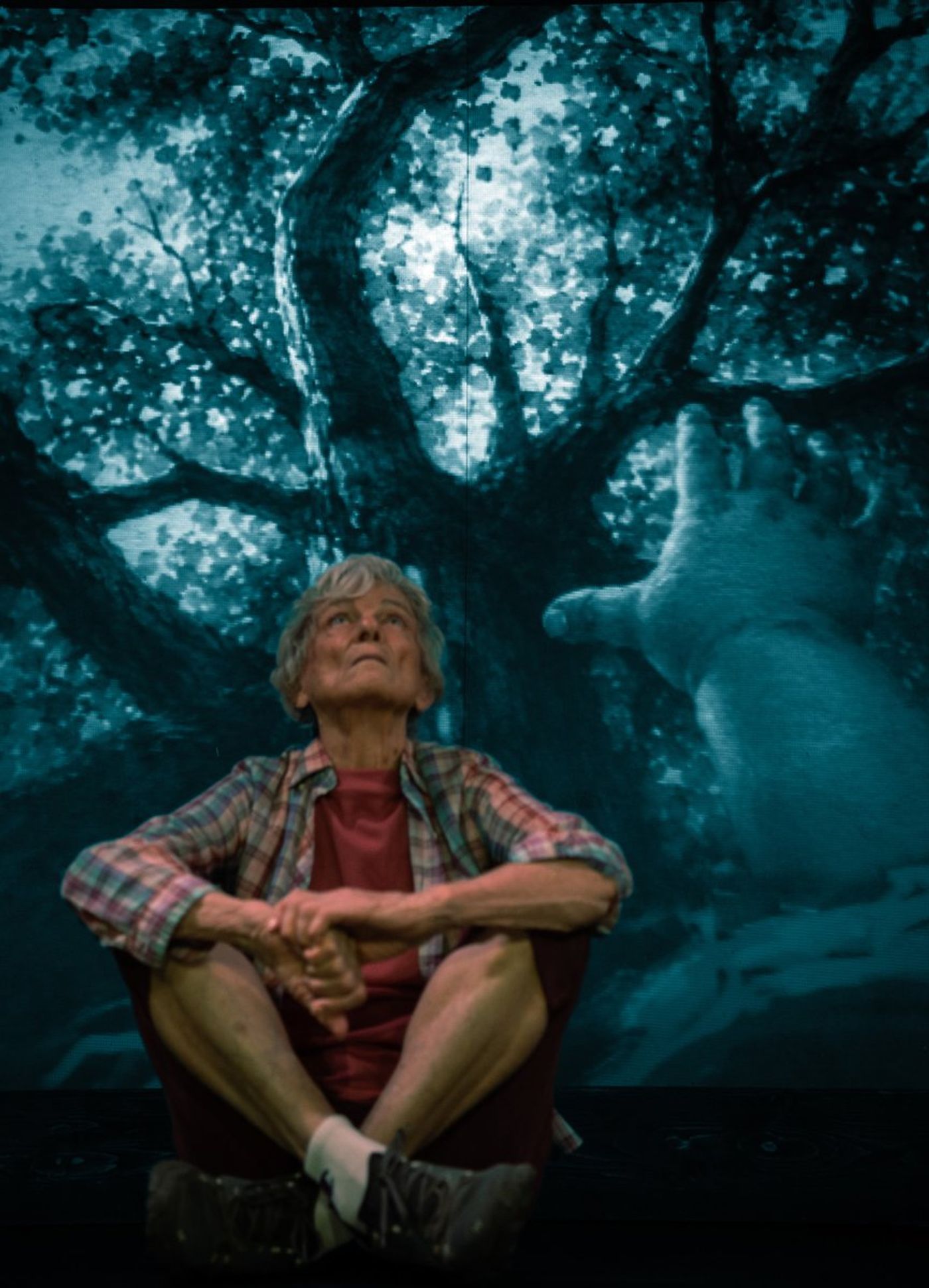 Interview: Director Debbie Devine of WINTER'S BENCH world premiere at 24th Street Theatre Image