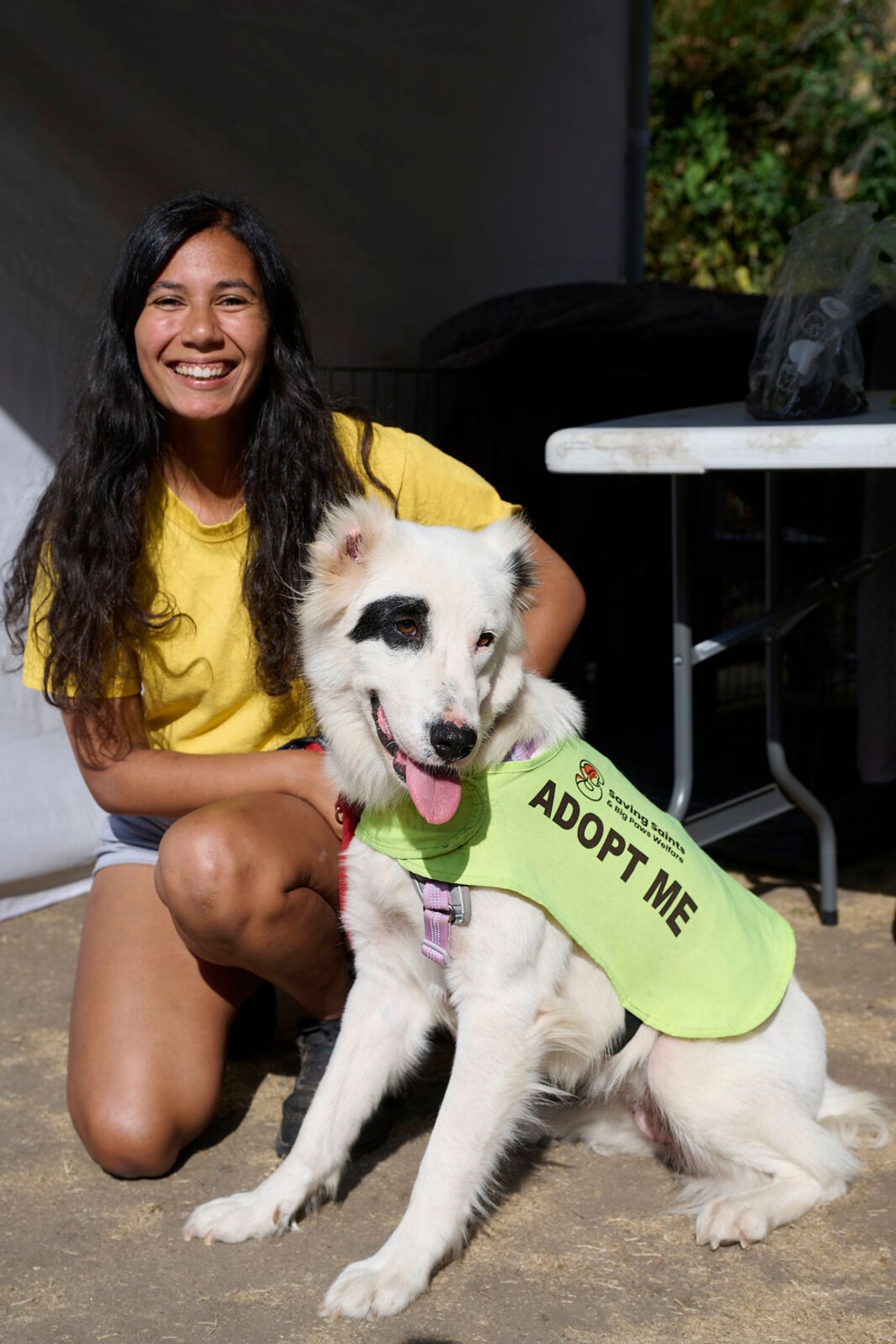 Photos: Dame Elaine Paige and Bernadette Peters Host WEST END WOOFS 2026 Image