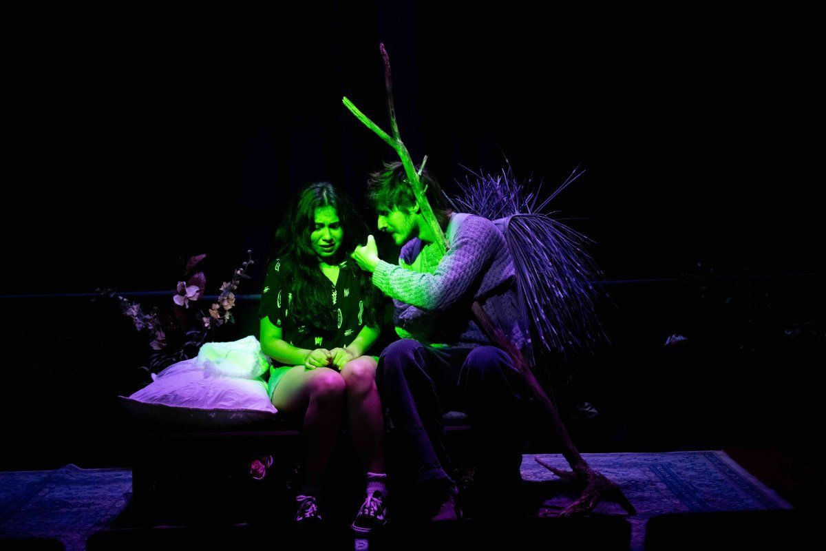 Review: FALLING DOWN THE MOUNTAIN at Broad Theatre Image