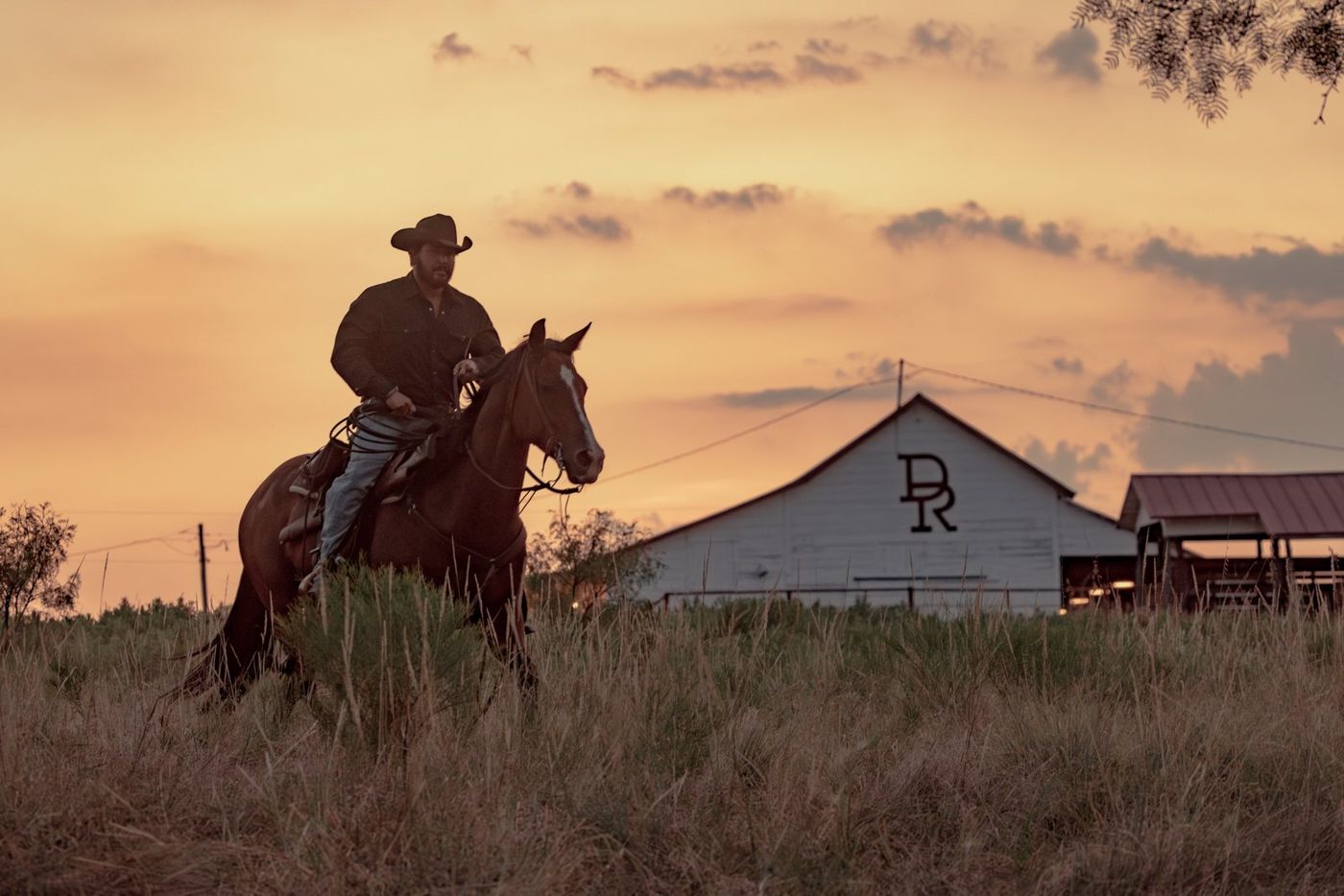 Photos: DUTTON RANCH Season One Available on Digital from Paramount Image