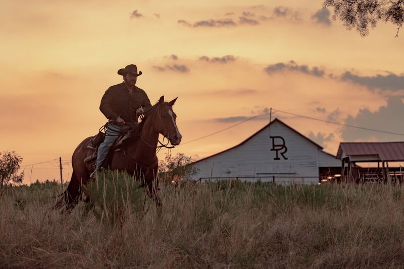 Photos: DUTTON RANCH Season One Available on Digital from Paramount — photo 16 of 25