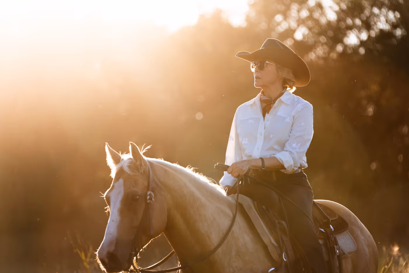Photos: DUTTON RANCH Season One Available on Digital from Paramount Image