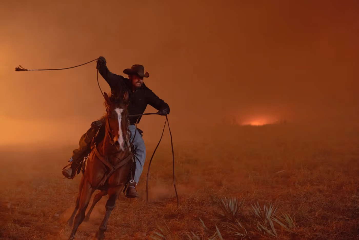 Photos: DUTTON RANCH Season One Available on Digital from Paramount Image