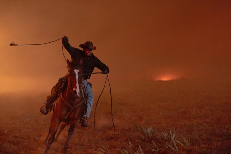 Photos: DUTTON RANCH Season One Available on Digital from Paramount — photo 3 of 25