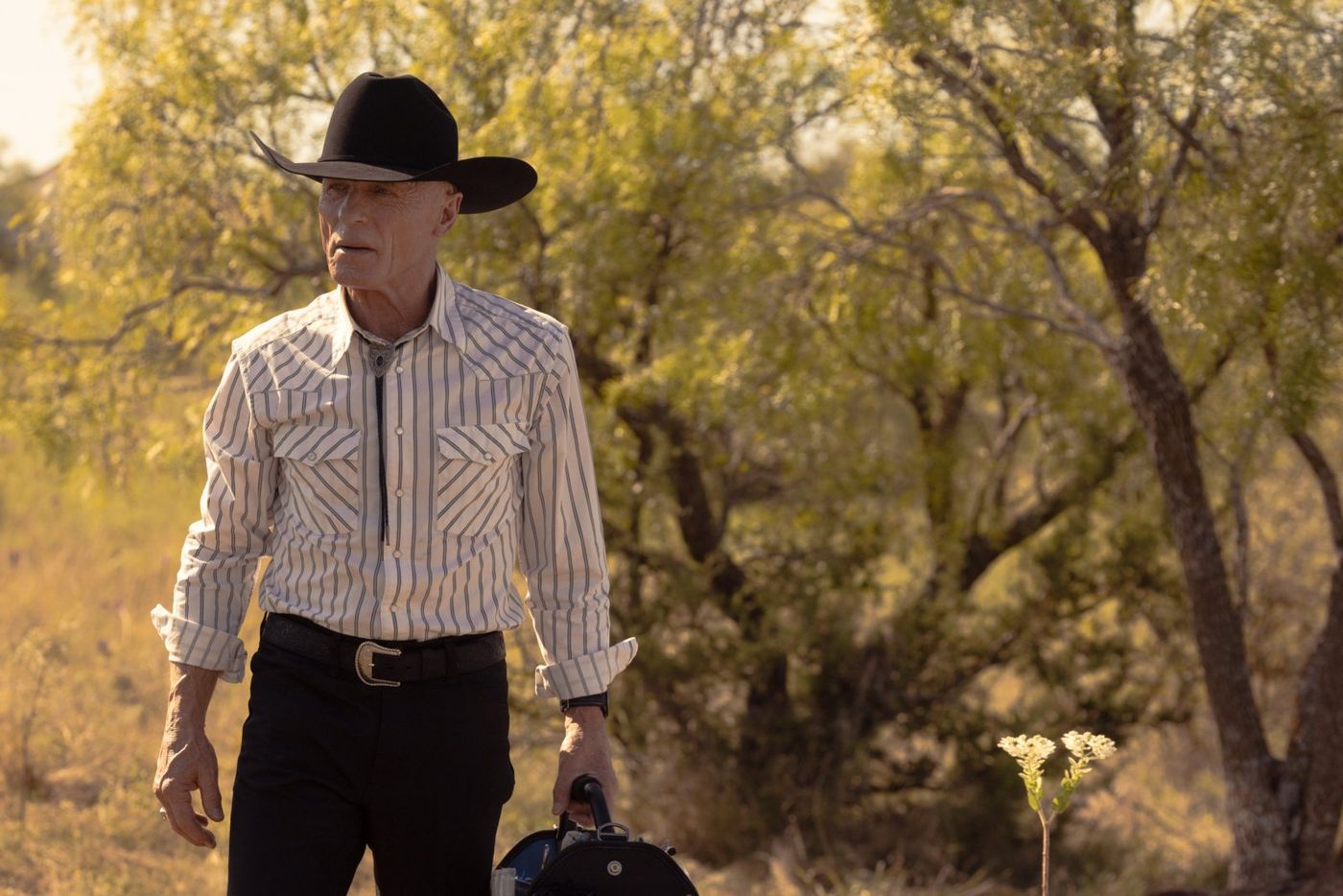 Photos: DUTTON RANCH Season One Available on Digital from Paramount Image