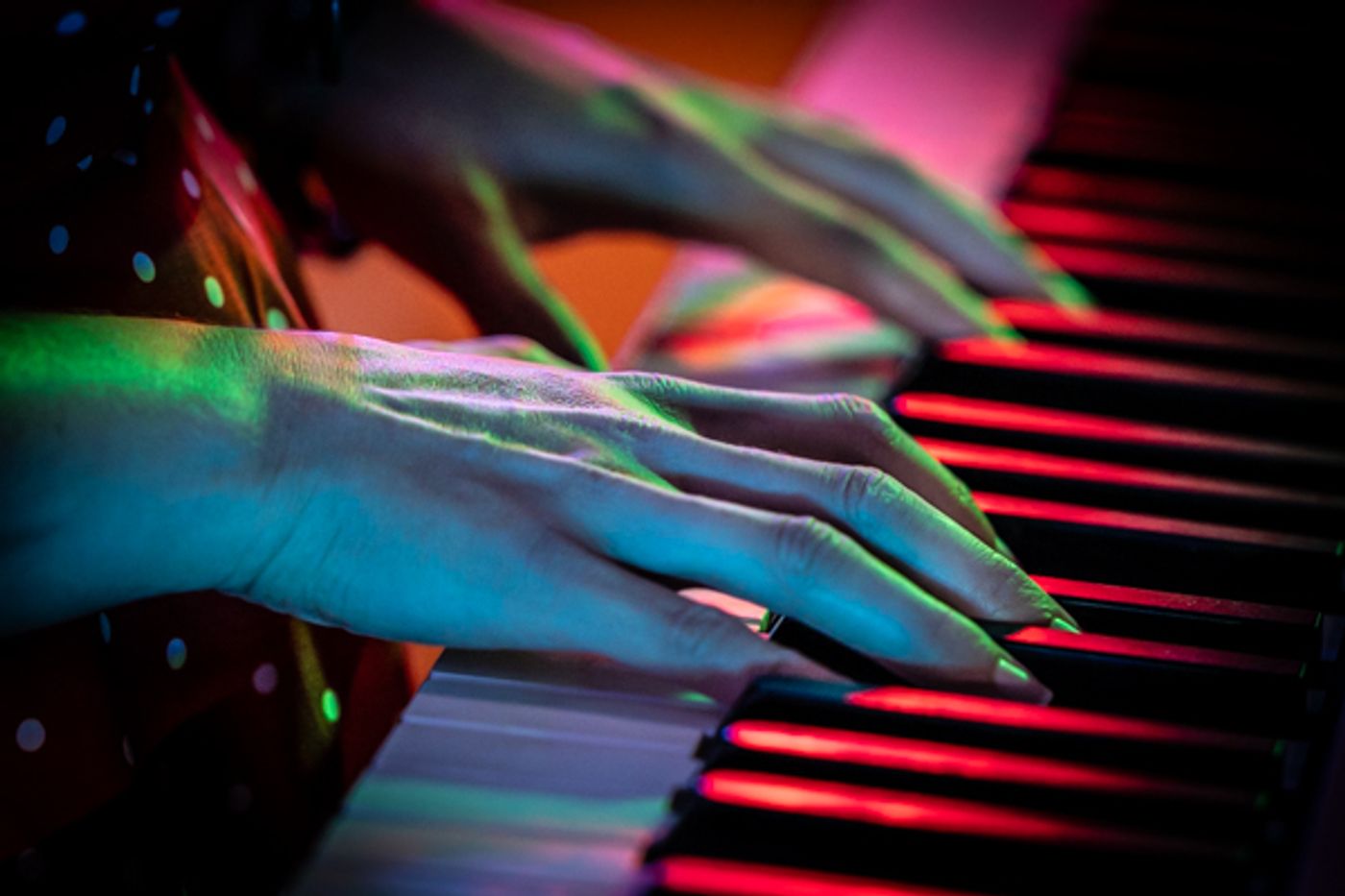Photos: First look at Musicalland Theatre at Lennox presents SONGS FROM “TENT CITY” Image