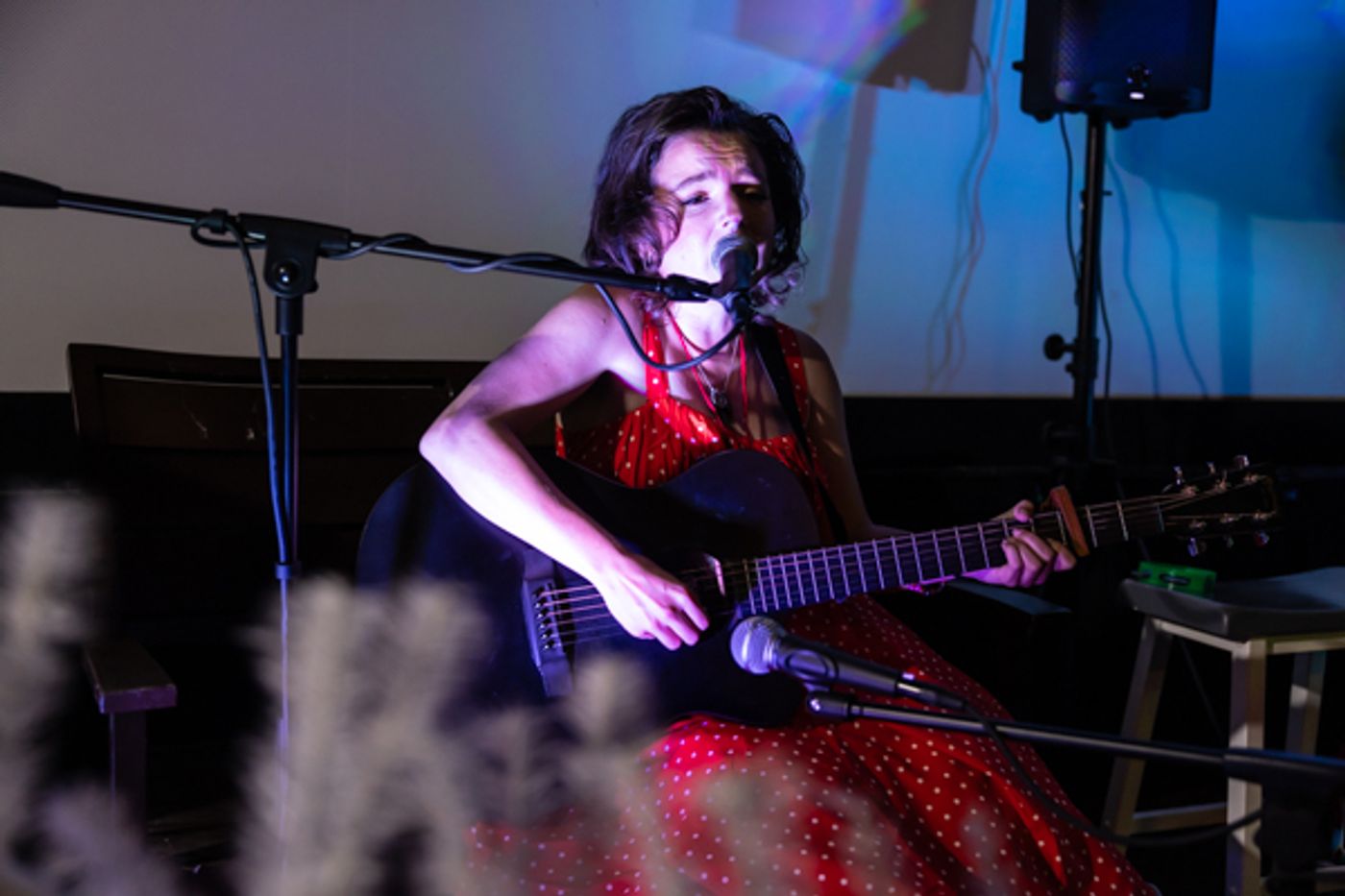 Photos: First look at Musicalland Theatre at Lennox presents SONGS FROM “TENT CITY” Image