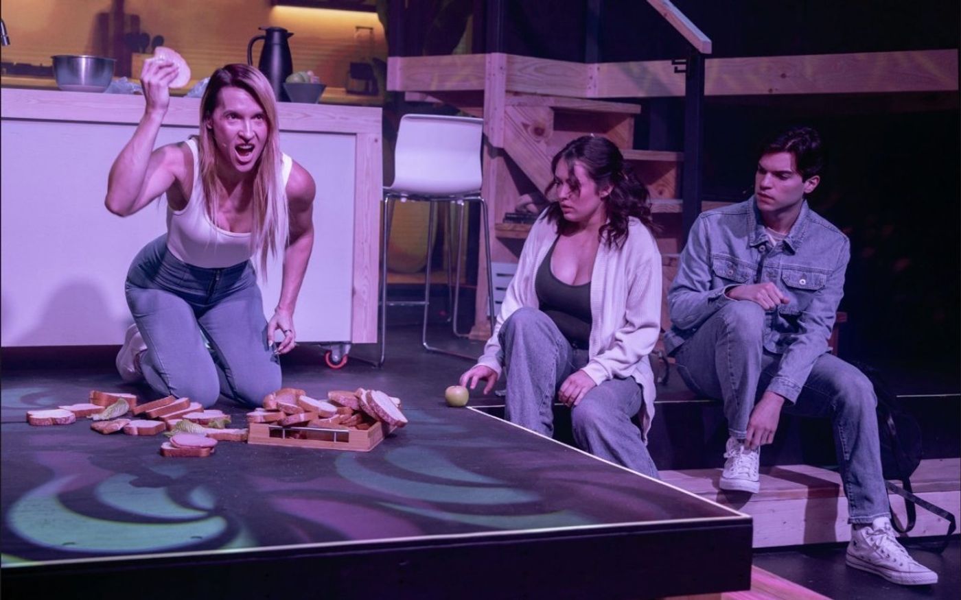 Review: NEXT TO NORMAL at Limelight Theatre Image