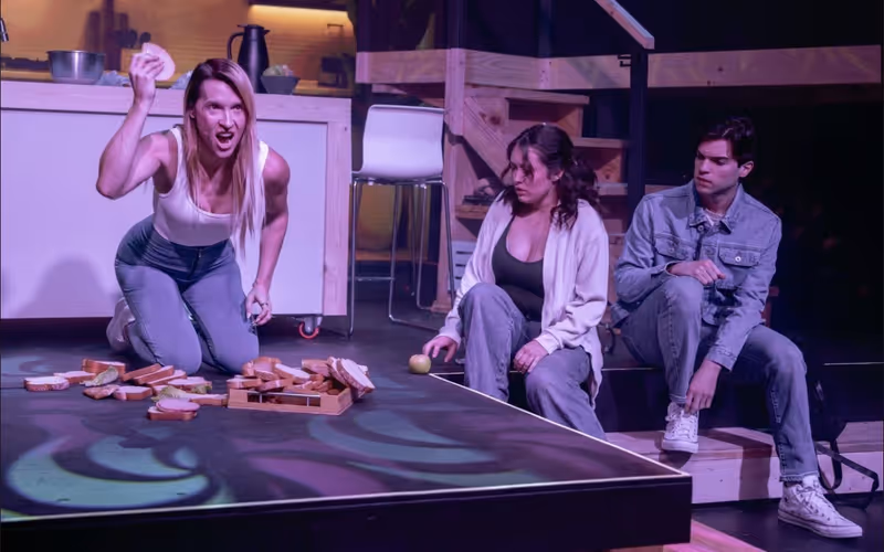 Review: NEXT TO NORMAL at Limelight Theatre Image