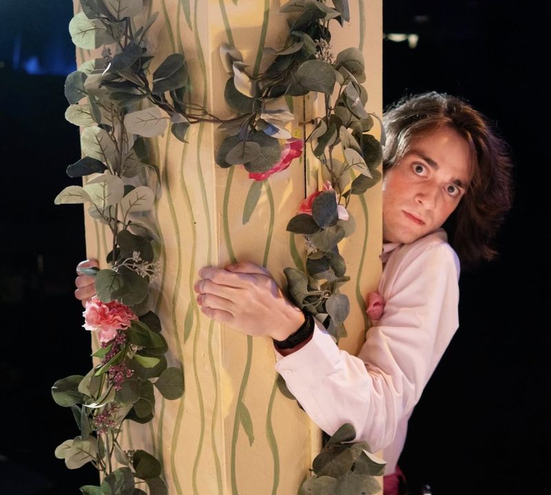 Review: THE SERVANT OF TWO MASTERS at Cold Frame Collective Image