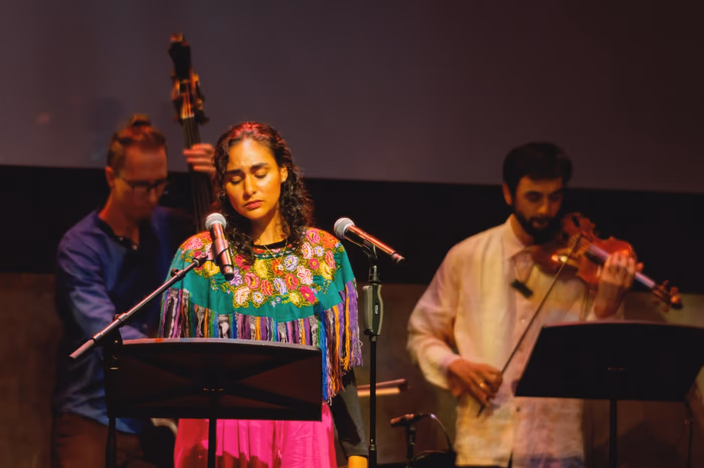 Photos: THE ZARABANDA VARIATIONS to Have Album Release Concert at National Sawdust Image