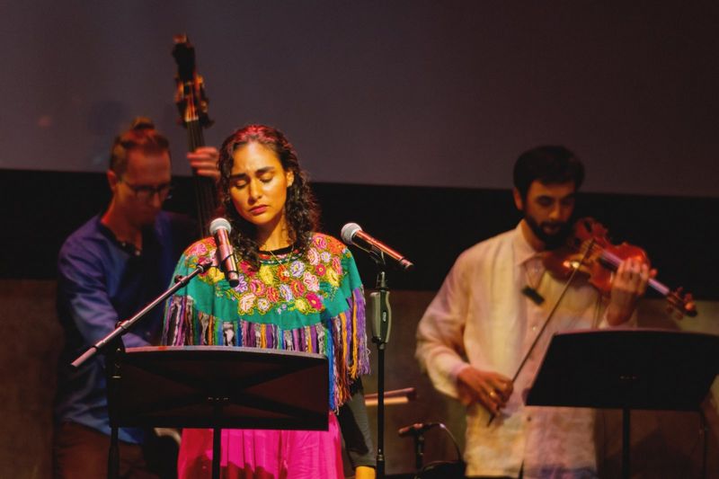 Photos: THE ZARABANDA VARIATIONS to Have Album Release Concert at National Sawdust — photo 3 of 18