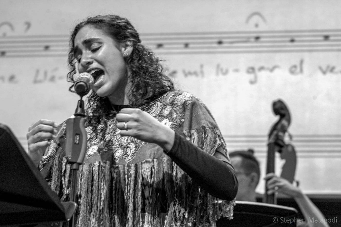 Photos: THE ZARABANDA VARIATIONS to Have Album Release Concert at National Sawdust Image